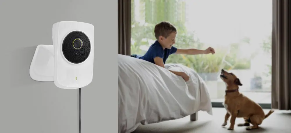 TP-LINK prezintă camera NC250, un model HD ce filmează și pe timp de noapte pe o distanță de până la 6 metri