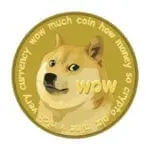 Un om a reușit să deschidă un portofel virtual cu Dogecoin, cumpărat în 2015. Cât valorează acum monedele