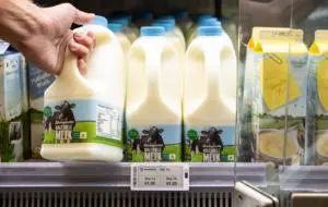 Unele magazine din Polonia vor folosi inteligența artificială pentru a reduce risipa alimentară