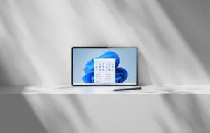 Una dintre cele mai tari caracteristici ale Windows 11 este un buton universal de oprire a microfonului