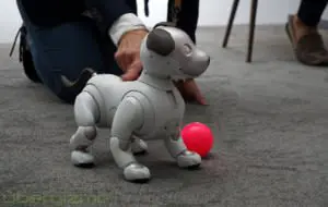 Sony vrea să construiască un robot care să poată câștiga premiul Nobel
