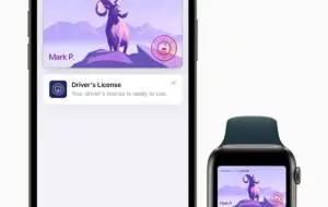 Permisul de conducere poate fi acum încărcat în Apple Wallet în SUA. Ce state îl acceptă