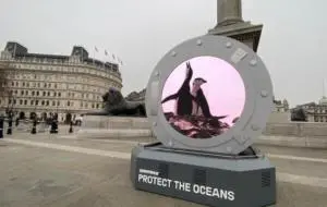 Greenpeace a realizat un „portal” care leagă Londra de pinguinii din Antarctica