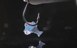 Un peşte hibrid a fost realizat din celule umane în laboratorul de la Harvard