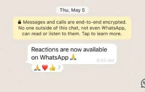 WhatsApp primeşte actualizarea mult aşteptată: emoji-uri ca reacţie la chat