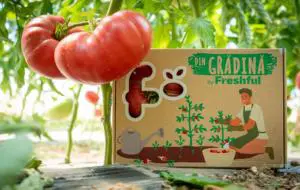 Freshful by eMAG introduce legume „Din Grădină”, ultra-fresh și cultivate în apropiere de București