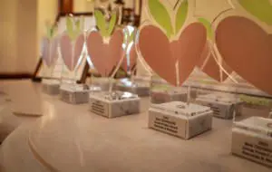 Huawei Seeds for the Future a ajuns la finalul celei de-a noua ediții