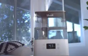 Umidificator Levoit Classic 300S – Prietenul cel mai bun al plantelor (REVIEW)