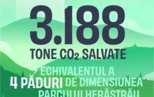 Bilanțul Flip la 3 ani de activitate