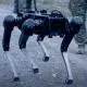 Controlul cu puterea minţii este acum real şi poate pune în mişcare roboţi militari