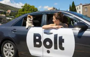 Bolt lansează cursele în care ești binevenit cu pisica sau cățelul: Cum funcționează Bolt Pet