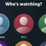 Amazon răspunde interdicţiei Netflix la password sharing cu streaming multiplu la liber