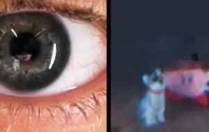 Oamenii de ştiinţă au reconstruit imagini 3D din reflexii de pe ochiul uman