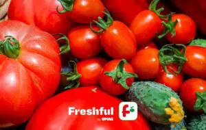 Bilanțul Freshful la jumătate de 2023: românii au comandat 700 de tone de fructe și legume