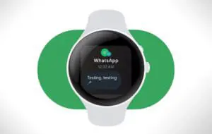 WhatsApp ajunge pe ceasurile cu WearOS; Ce funcţii oferă?