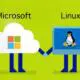 Microsoft te învață să instalezi… Linux, chiar pe site-ul oficial