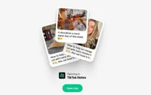 Aplicația TikTok Notes, confirmată oficial. Va fi o alternativă la Instagram
