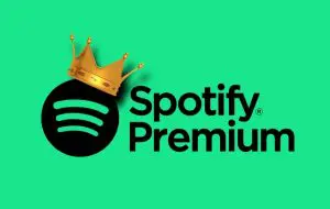 Rezultate record pentru Spotify: 678 de milioane de utilizatori, 268 de milioane de plătitori