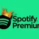 Rezultate record pentru Spotify: 678 de milioane de utilizatori, 268 de milioane de plătitori