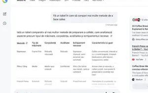 Modul AI din Google Search, disponibil acum și pentru utilizatorii din România
