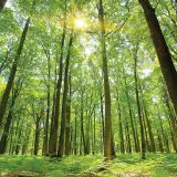 Am depășit punctul fără întoarcere în schimbările climatice. Trăim o „nouă realitate”