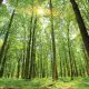 Am depășit punctul fără întoarcere în schimbările climatice. Trăim o „nouă realitate”