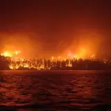 10% din suprafața terestră a Pământului este în pericol de incendiu, conform unui nou studiu
