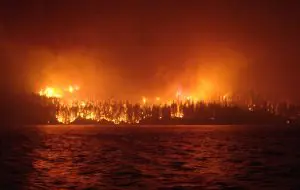 10% din suprafața terestră a Pământului este în pericol de incendiu, conform unui nou studiu