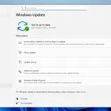 Problemele continuă cu actualizarea Windows 11 din ianuarie 2026: ecrane negre, erori Outlook și altele