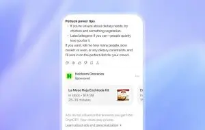 Sfârșitul erei fără publicitate: ChatGPT introduce reclame pentru conturile care nu plătesc abonament