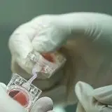 China trimite embrioni în spațiu pentru a studia reproducerea în microgravitație