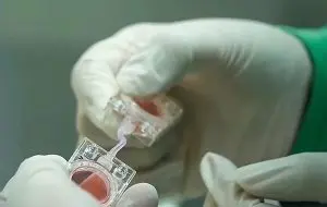 China trimite embrioni în spațiu pentru a studia reproducerea în microgravitație