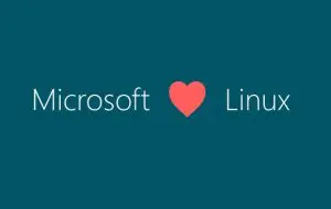 Microsoft continuă să investească în ecosistemul Linux