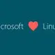 Microsoft continuă să investească în ecosistemul Linux