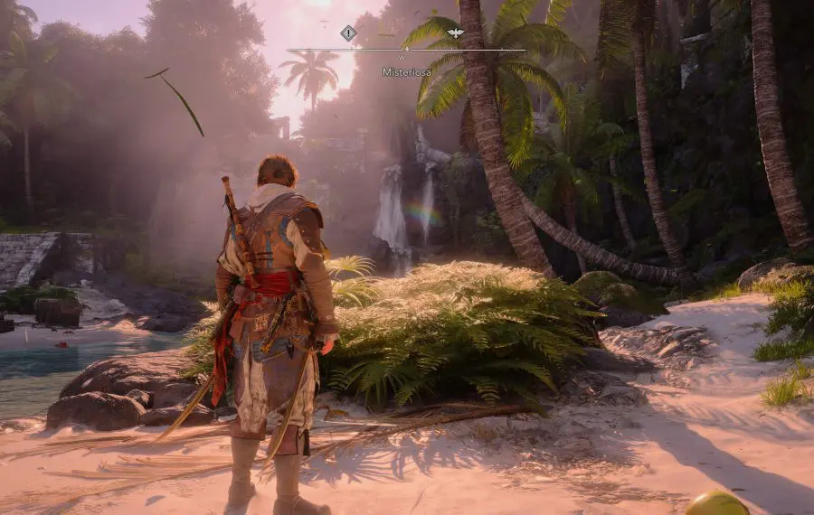 assassin's creed black flag resynced
