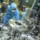 Cercetătorii CSIRO au dezvoltat o baterie cuantică: se încarcă mai repede cu cât este mai mare