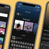 Spotify a atins pragul de 300 de milioane de abonați premium
