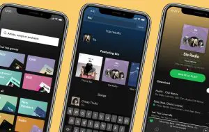 Spotify a atins pragul de 300 de milioane de abonați premium