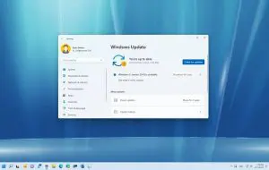 Microsoft: actualizarea Windows 11 din august repară 420 de vulnerabilități
