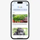 Google Discover pune și mai mult focus pe AI în loc de conținut original