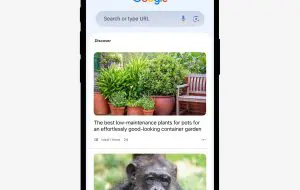 Google Discover pune și mai mult focus pe AI în loc de conținut original