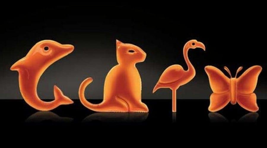Orange oferă noi avantaje la abonamentele Delfin, Flamingo, Fluture şi Panteră