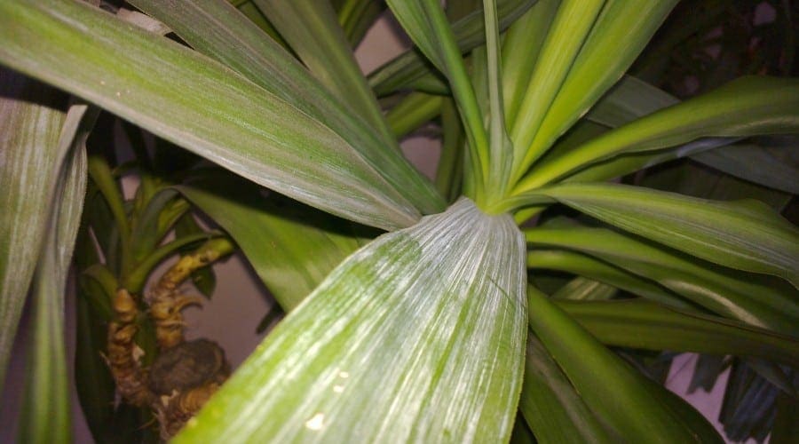 Nokia N9: Imagini realizate cu camera telefonului (foto)