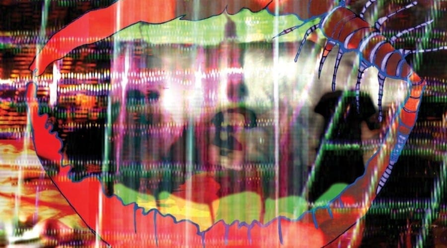 Animal Collective – Centipede Hz – Amanita (Recenzie album)