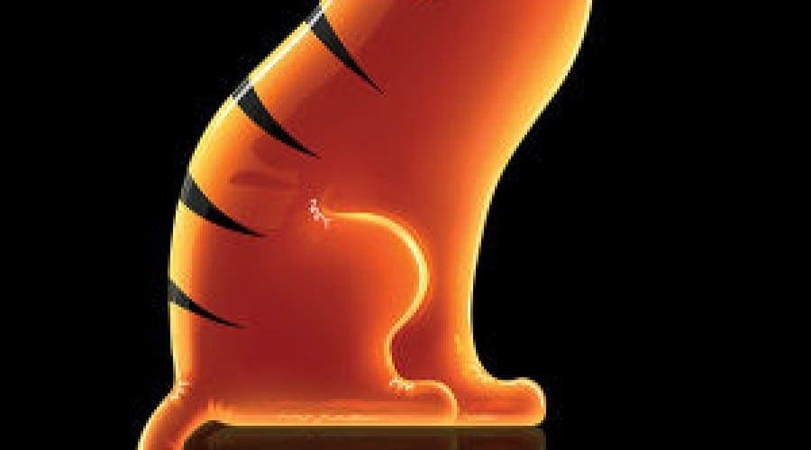 Orange lanseaza abonamentele Tigru, cu minute si SMS-uri nelimitate
