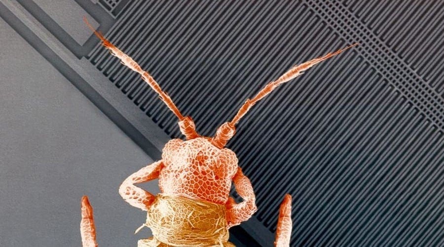 Smartphone: senzori inteligenţi