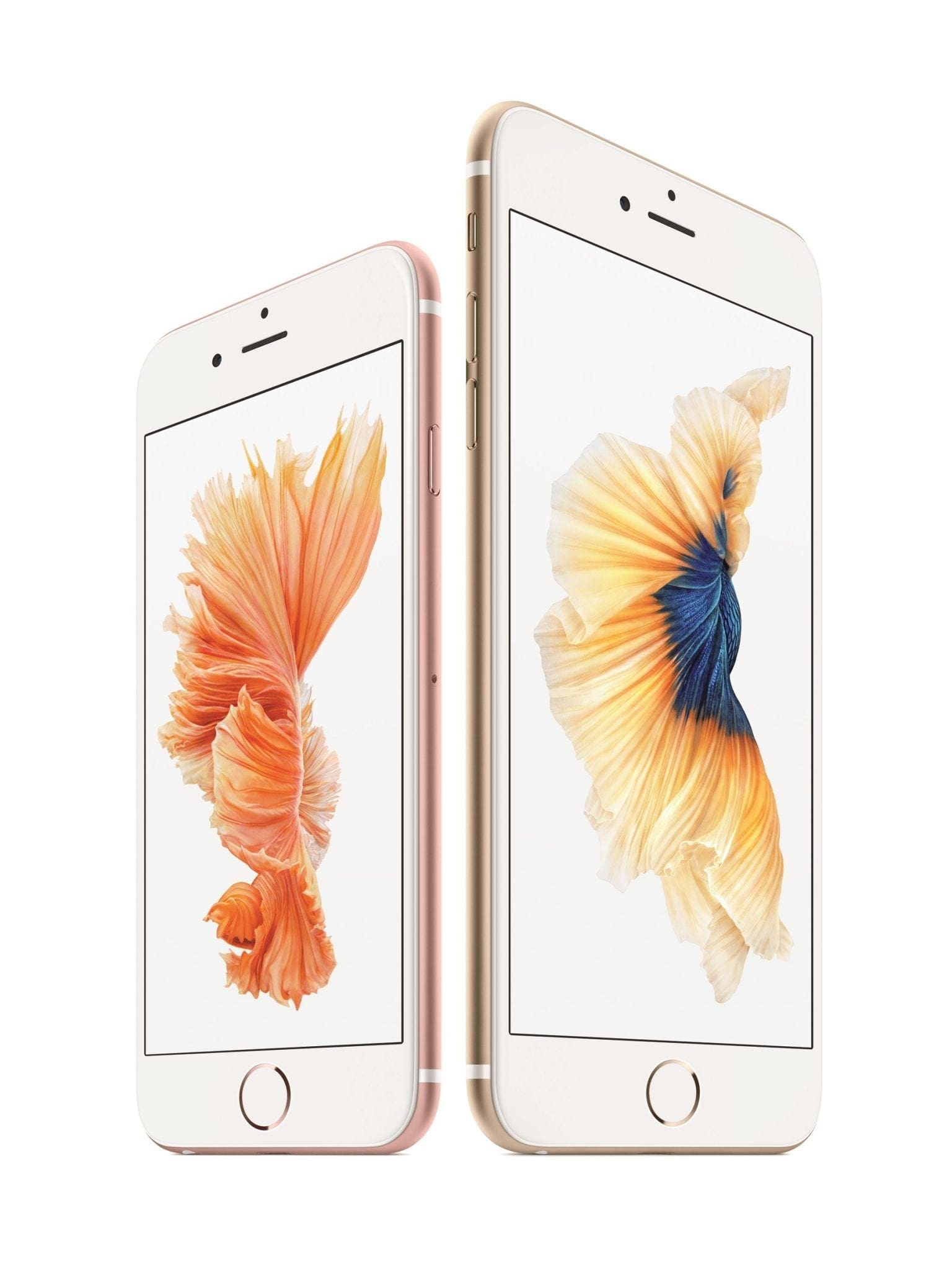 iPhone 6s și iPhone 6s Plus disponibile în Apple Store din 25 septembrie