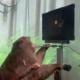 VIDEO Produsul Neuralink prinde contur: o maimuță se poate juca Pong folosindu-și mintea