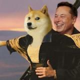 Nebunia Dogecoin continuă. Elon Musk a anunțat produsele oficiale Tesla pe care le poți cumpăra cu celebra criptomonedă