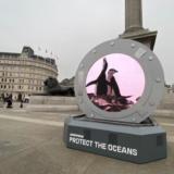 Greenpeace a realizat un „portal” care leagă Londra de pinguinii din Antarctica